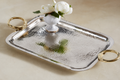 Stainless-Steel  Tray