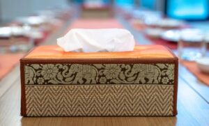 Read more about the article How Luxury Tissue Boxes Enhance Guest Experience in 5-Star Hotels